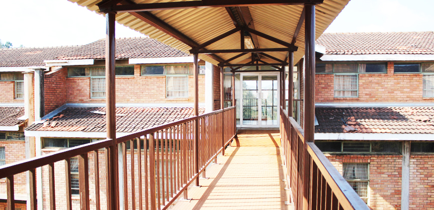 Experience the Campus